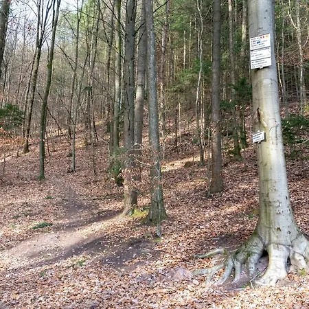 Camping Domaine Du Heidenkopf *