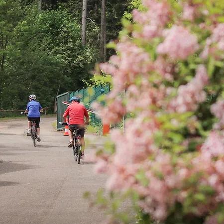 Domaine Du Heidenkopf Camping *